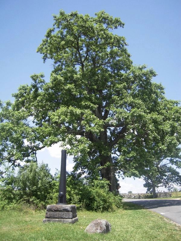 General Sickles Marker and Witness Tree. Click for full size. General Sickles Marker and Witness Tree image. Click for full size.