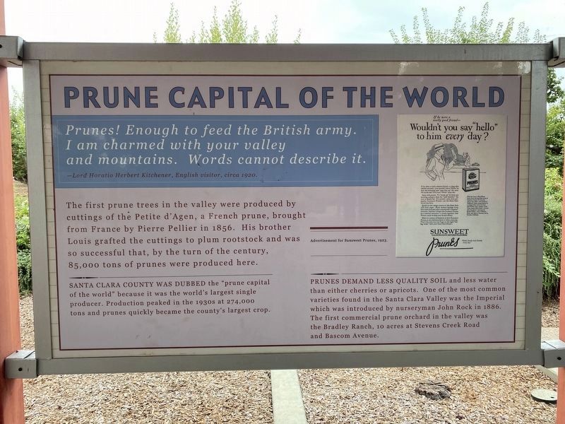 Prune Capital of the World Marker image. Click for full size.
