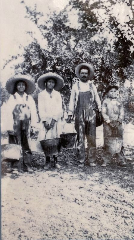 Marker detail: <i>Mexican family of prune pickers on the Garrod Ranch, Cupertino, date unknown</i> image. Click for full size.