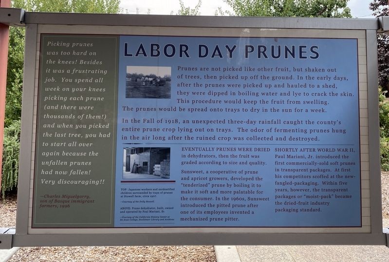 Labor Day Prunes Marker image. Click for full size.