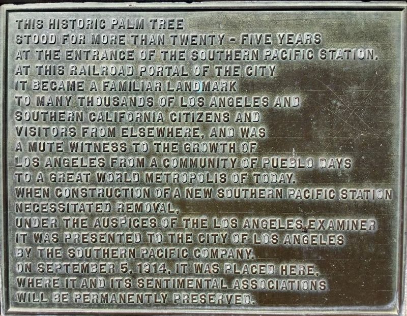 Historic Palm Tree Marker image. Click for full size.
