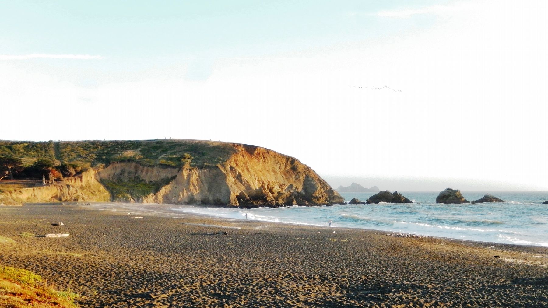 Mori Point (<i>looking south from the beach</i>) image. Click for full size.