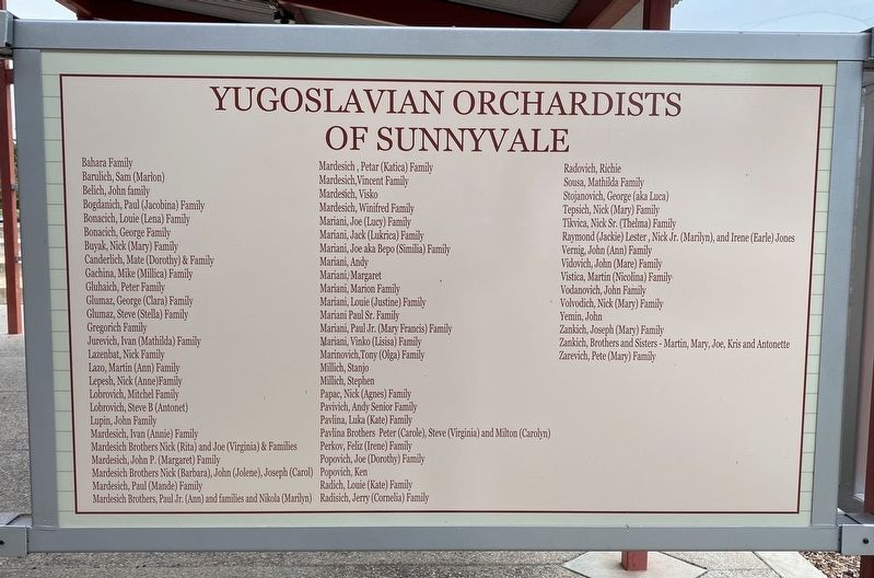 Yugoslavian Orchardists of Sunnyvale Marker image. Click for full size.