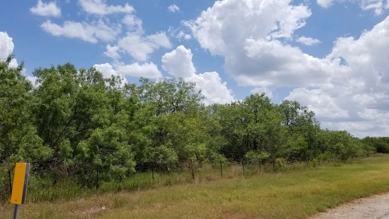 Area near the Marker image. Click for full size.