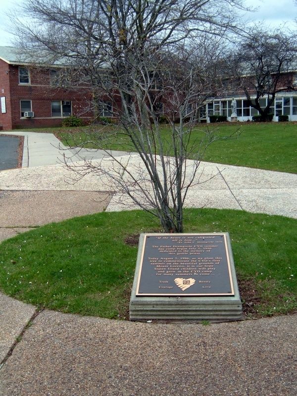 CYO Memorial Tree Marker. Click for full size. CYO Memorial Tree Marker image. Click for full size.