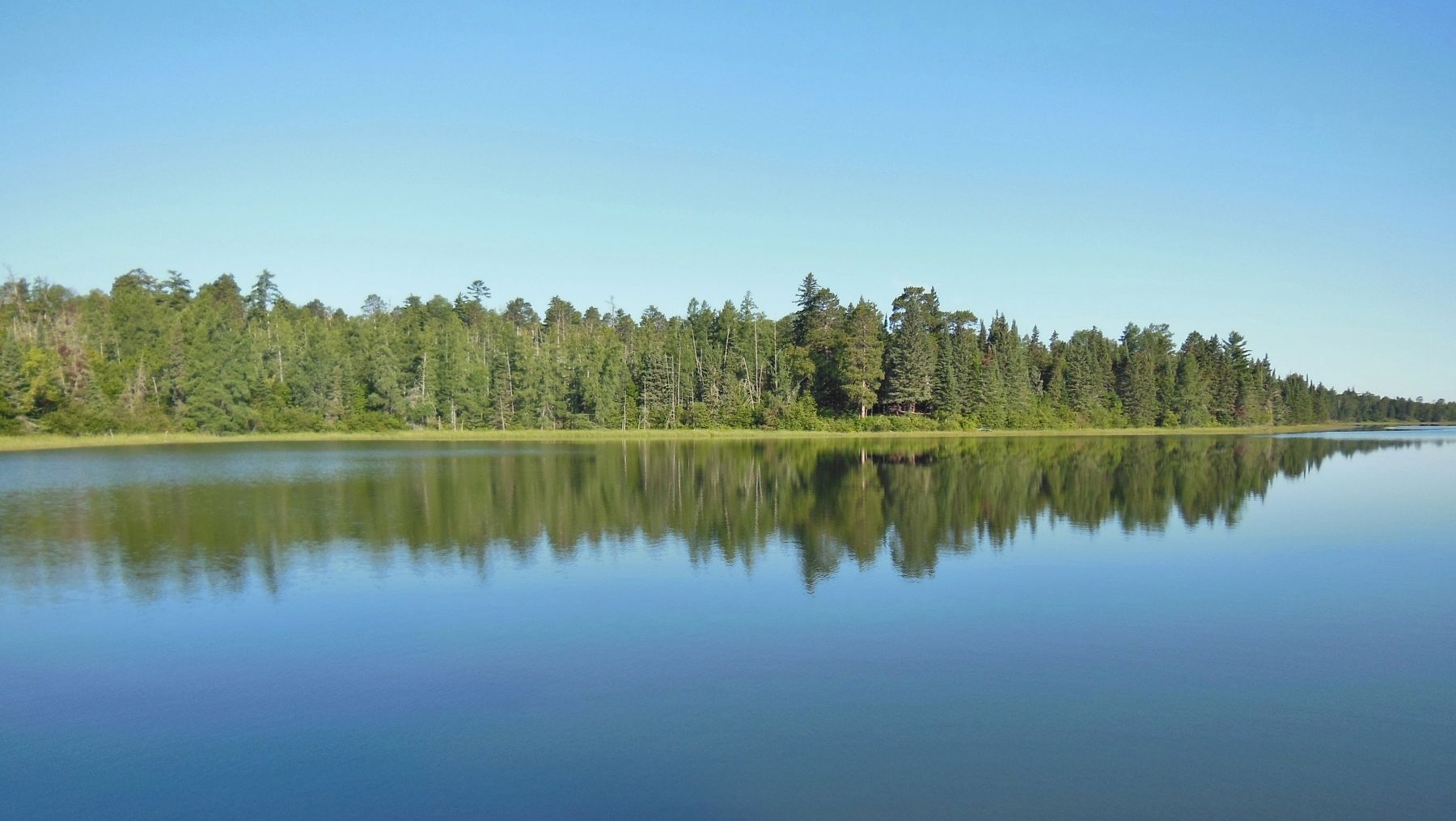 Lake Itasca image. Click for full size.