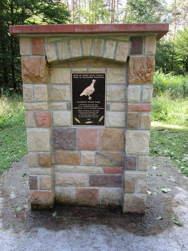 Site of First Wild Turkey Trap & Transfer Program Marker. Click for full size. Site of First Wild Turkey Trap & Transfer Program Marker image. Click for full size.