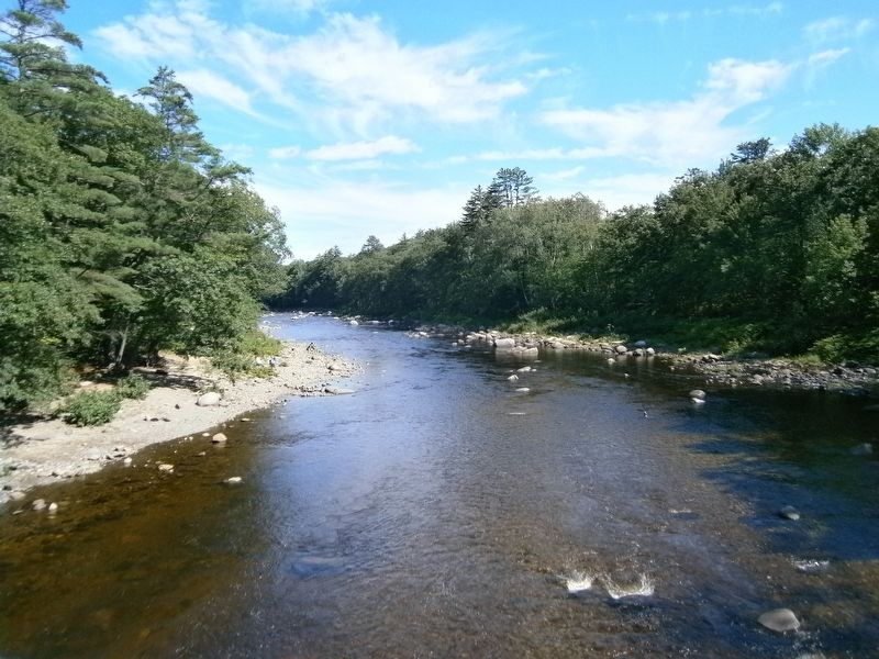 View looking down river from bridge. Click for full size. View looking down river from bridge image. Click for full size.