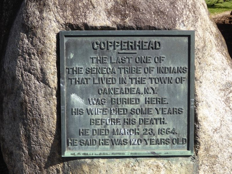 Copperhead Marker image. Click for full size.