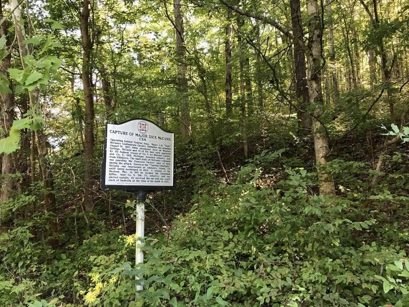 Capture of Major Dick McCann, CSA Marker (side 2). Click for full size. Capture of Major Dick McCann, CSA Marker (side 2) image. Click for full size.