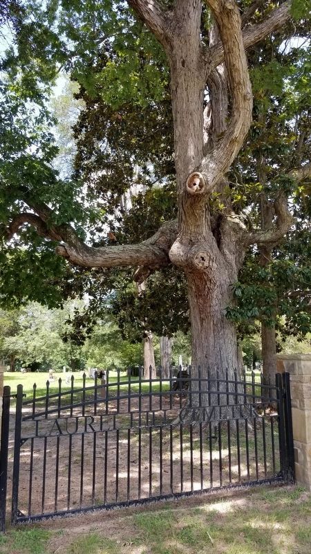 Laurel Hill Cemetery entrance image. Click for full size.