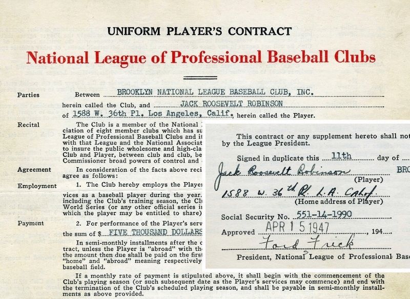 Jackie Robinson's Brooklyn Dodgers contract. Click for more information. Jackie Robinson's Brooklyn Dodgers contract image. Click for more information.