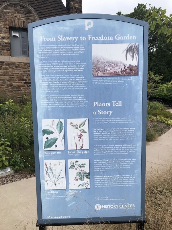 From Slavery to Freedom Garden Marker image. Click for full size.