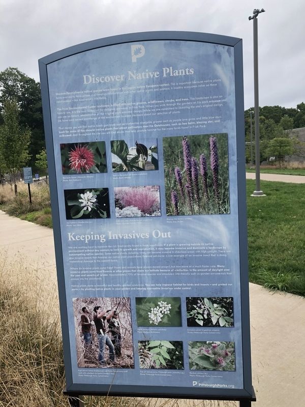 Discover Native Plants / Keeping Invasive Out side of marker image. Click for full size.