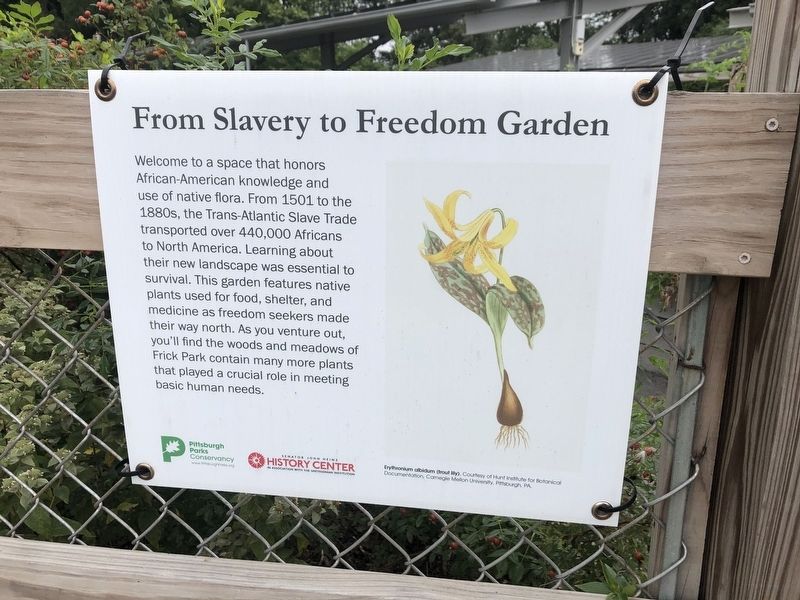 From Slavery to Freedom Garden Marker image. Click for full size.