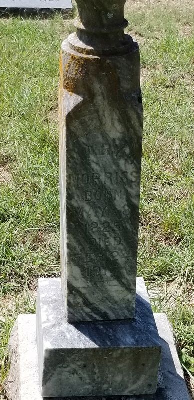 Closeup of Mary Ann Morriss' tombstone image. Click for full size.