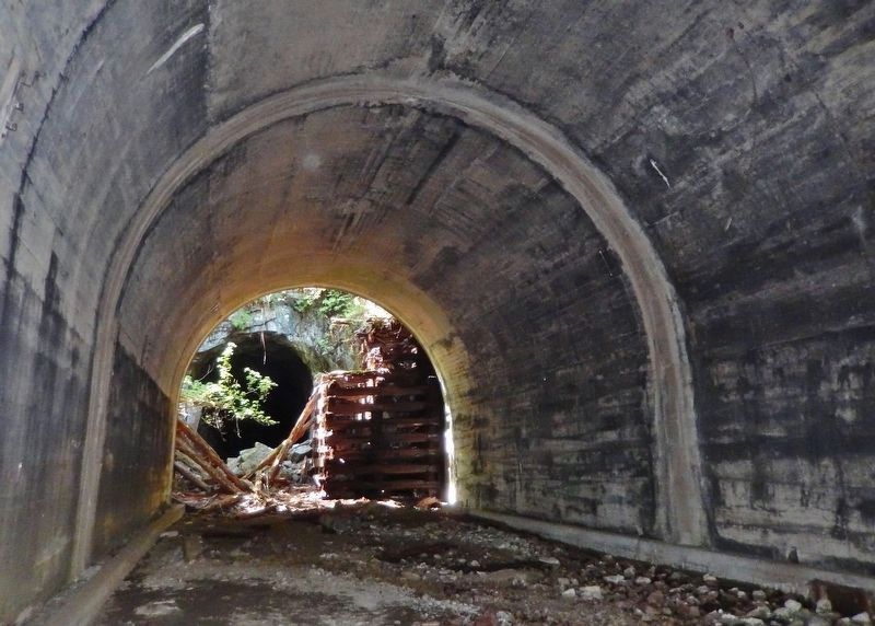 Wooden Snowshed Ruins & West Tunnel Portal image. Click for full size.