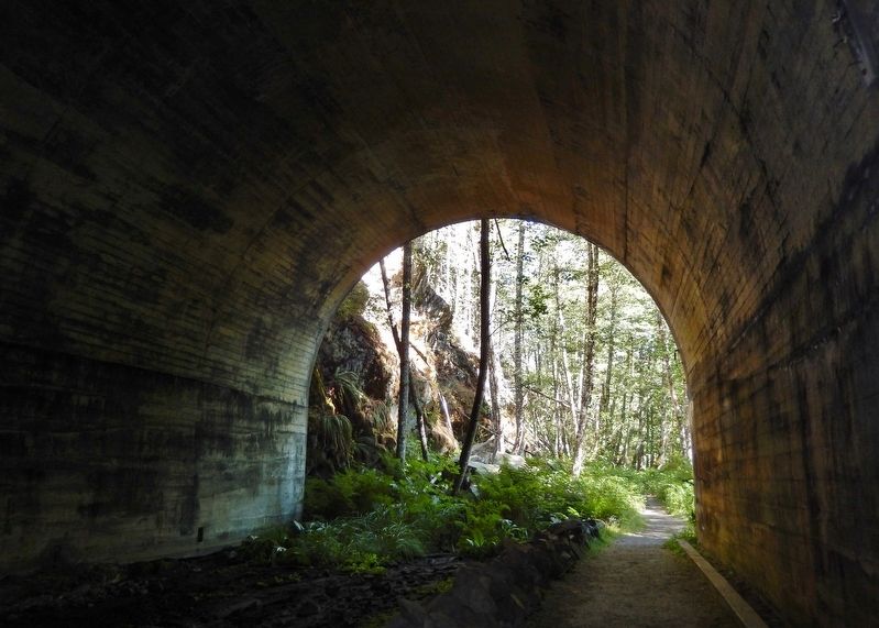 East Tunnel Exit & Iron Goat Trail image. Click for full size.