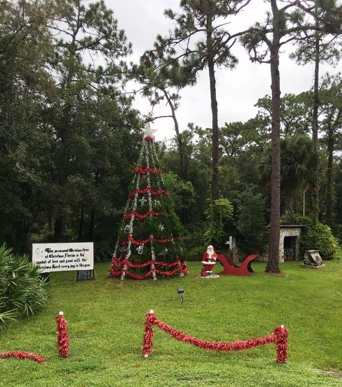 Christmas, Florida’s permanent Christmas tree image. Click for full size.