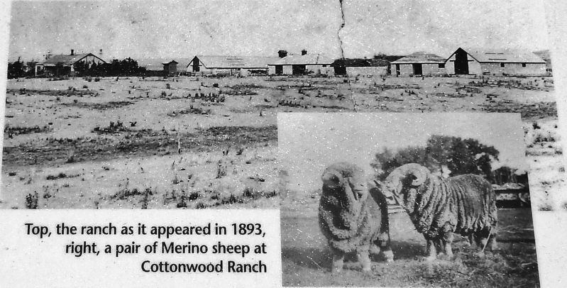 Marker detail: Cottonwood Ranch, 1893. Click for full size. Marker detail: Cottonwood Ranch, 1893 image. Click for full size.