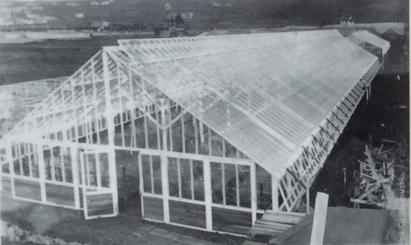 Inset photo (front side): <i>A greenhouse owned by the Oishi family...</i> image. Click for full size.