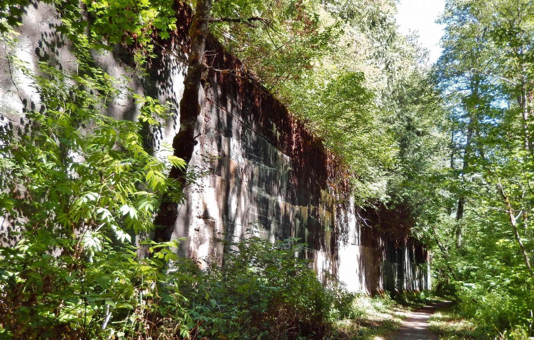 Concrete Snowshed Wall Ruins (<i>beside Iron Goat Trail</i>) image. Click for full size.