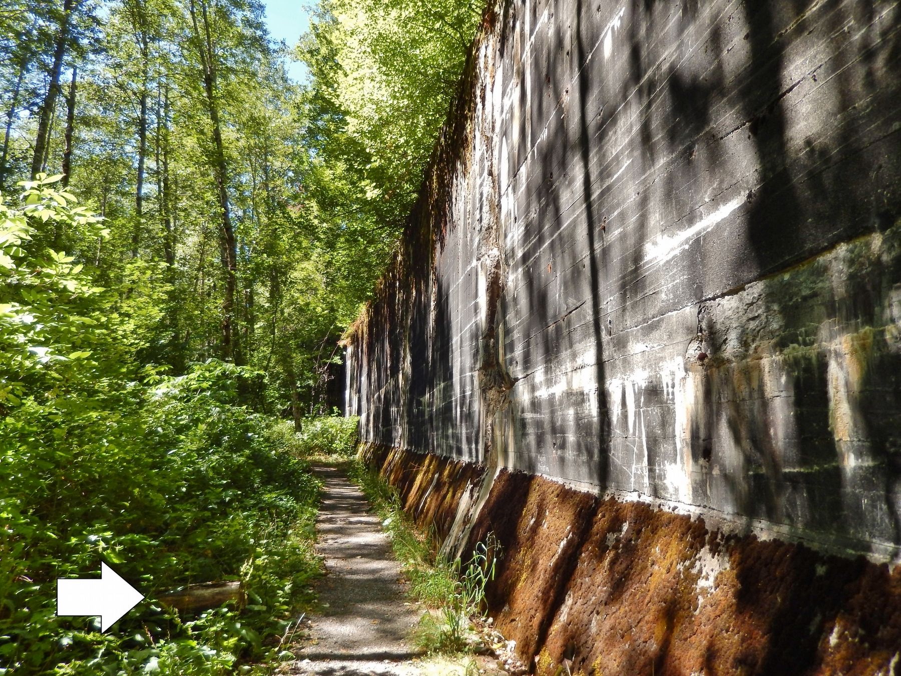 Concrete Snowshed Wall Ruins (<i>beside Iron Goat Trail</i>) image. Click for full size.