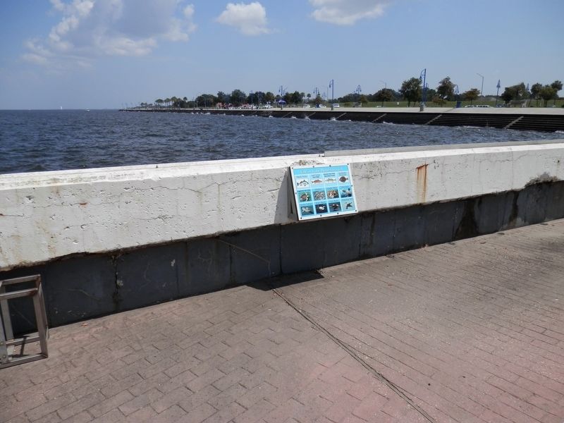 Life in Lake Pontchartrain marker image. Click for full size.
