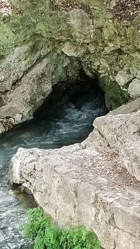 Comal Springs image. Click for full size.