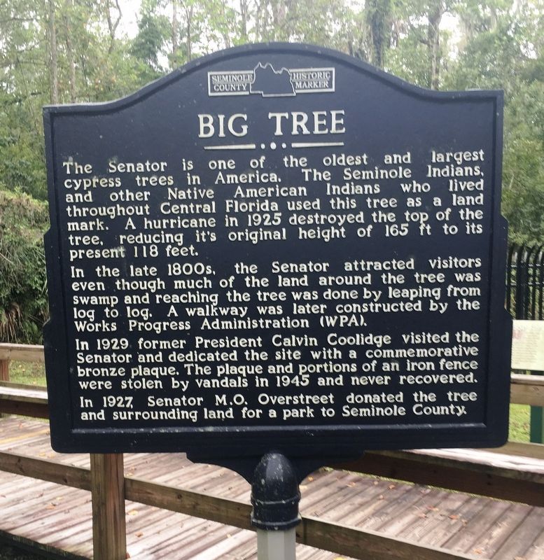 Big Tree Marker (Side 1). Click for full size. Big Tree Marker (Side 1) image. Click for full size.