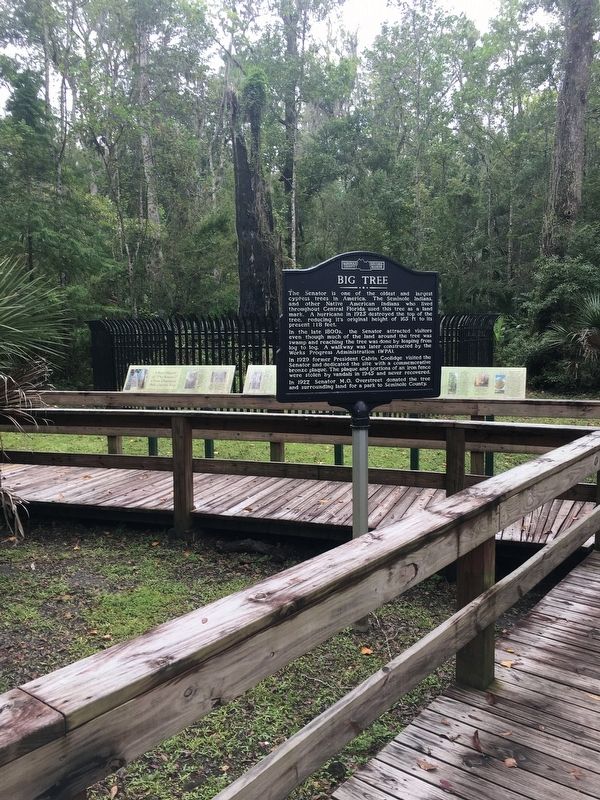 Big Tree Marker. Click for full size. Big Tree Marker image. Click for full size.