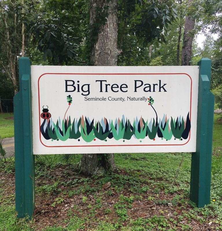 Big Tree park sign image. Click for full size.