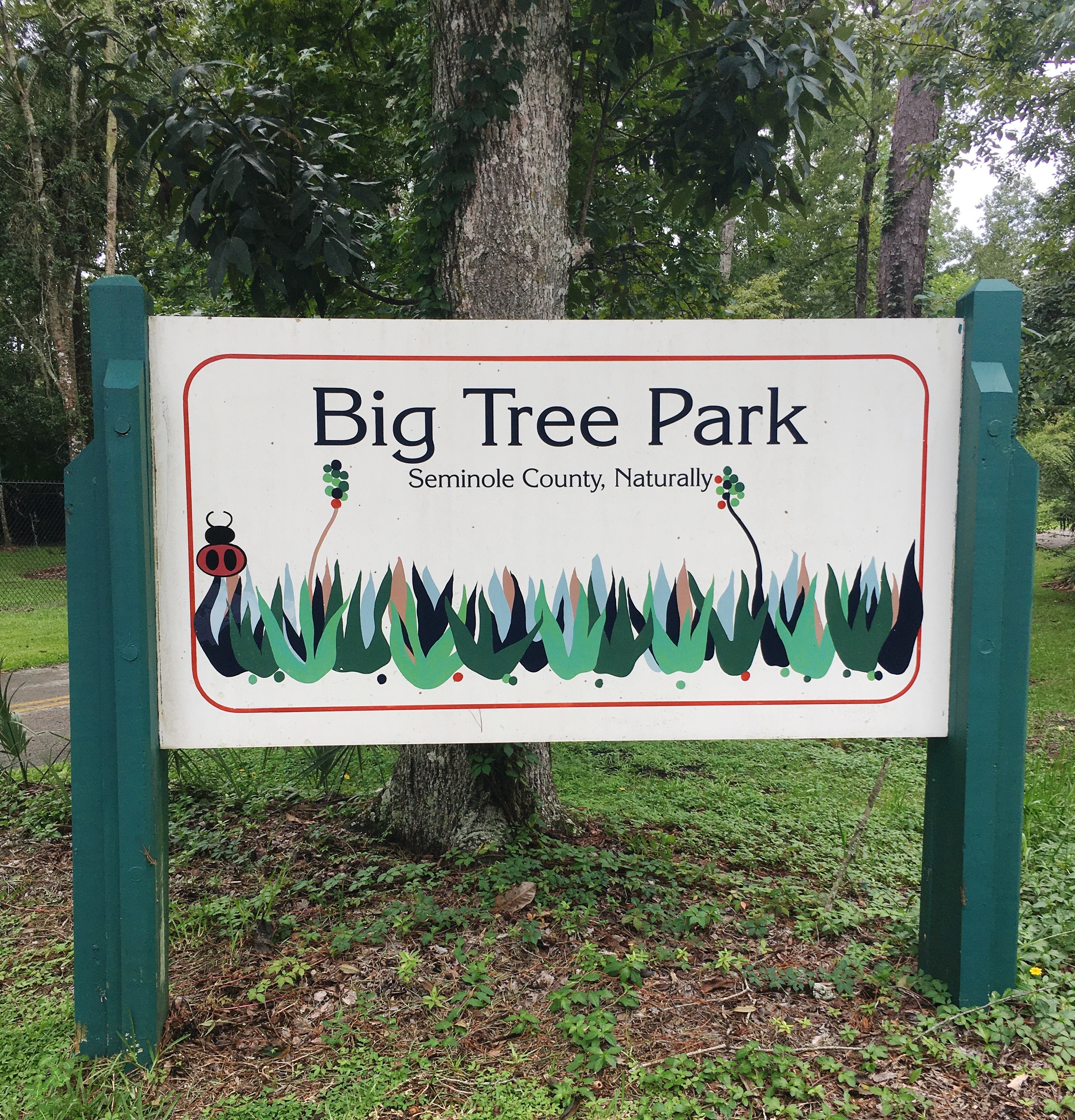 Big Tree park sign