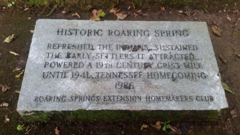 Historic Roaring Spring Marker image. Click for full size.
