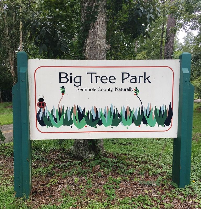 Big Tree Park sign. Click for full size. Big Tree Park sign image. Click for full size.