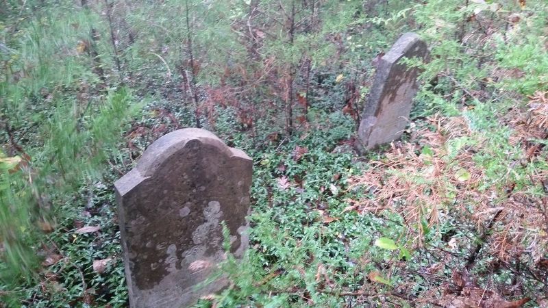 The Roaring Spring cemetery is located near by but is completely overgrown image. Click for full size.