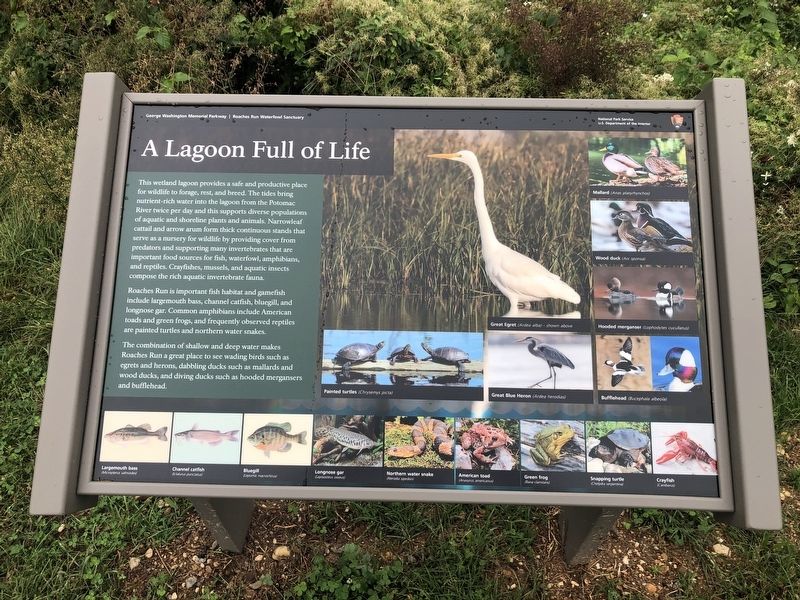 Adjacent nature marker image. Click for full size.