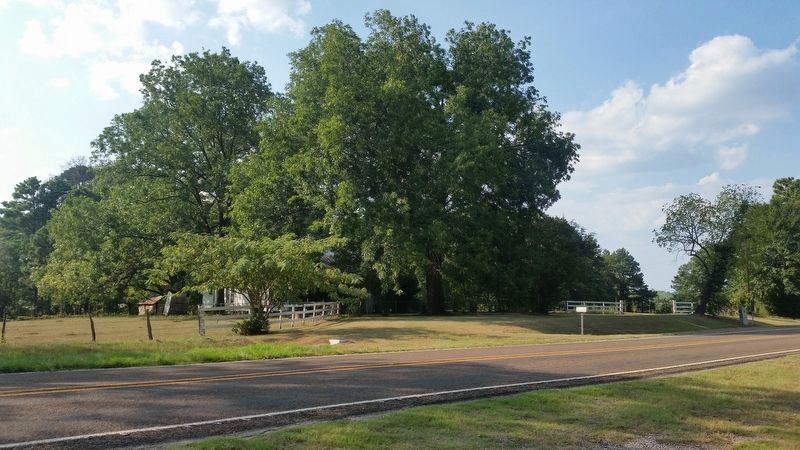 Joseph Rice Homesite across the Highway. image. Click for full size.