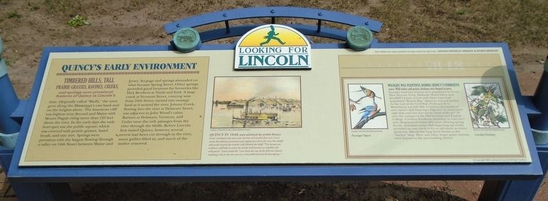 Quincy's Early Environment Marker image. Click for full size.