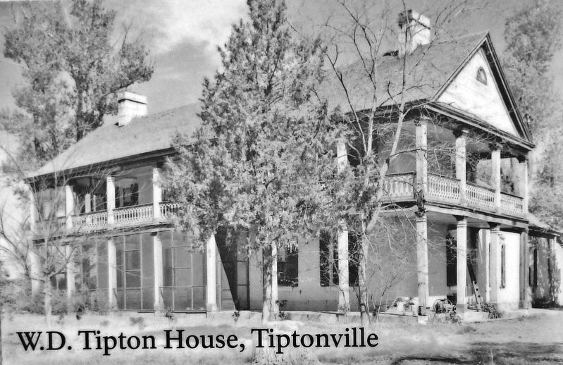 Marker detail: W.D. Tipton House, Tiptonville image. Click for full size.
