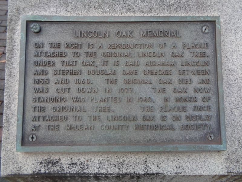 Lincoln Oak Tree Marker image. Click for full size.
