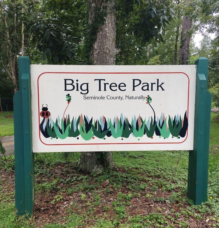 Big Tree Park sign image. Click for full size.