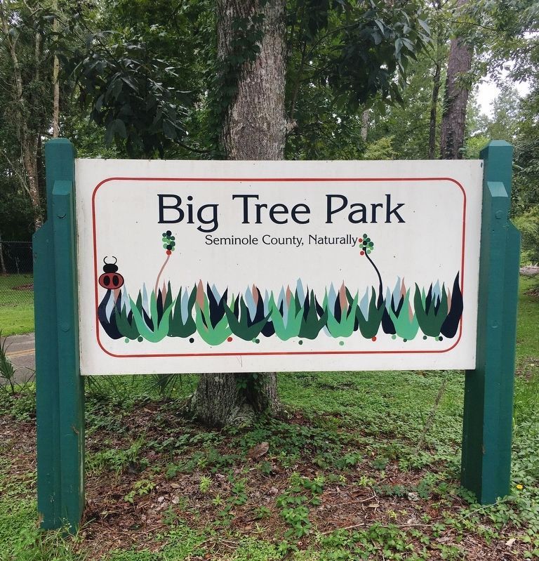 Big Tree Park sign. Click for full size. Big Tree Park sign image. Click for full size.