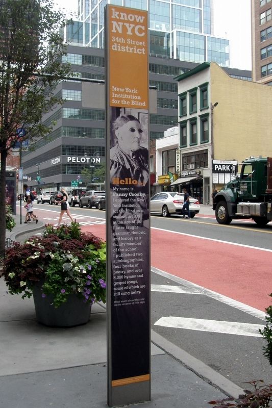 New York Institute for the Blind wayside. Click for full size. New York Institute for the Blind wayside image. Click for full size.