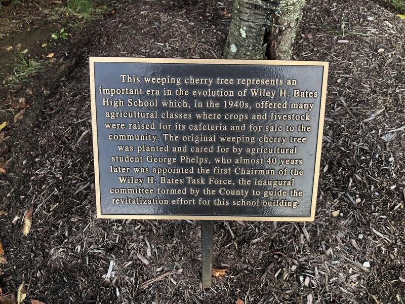 Weeping Cherry Tree Marker image. Click for full size.