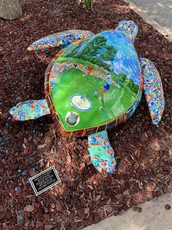 Turtle #10 - "Nancy Marie" image. Click for full size.