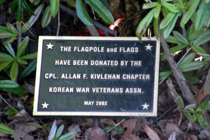 Ancillary plaque. image. Click for full size.