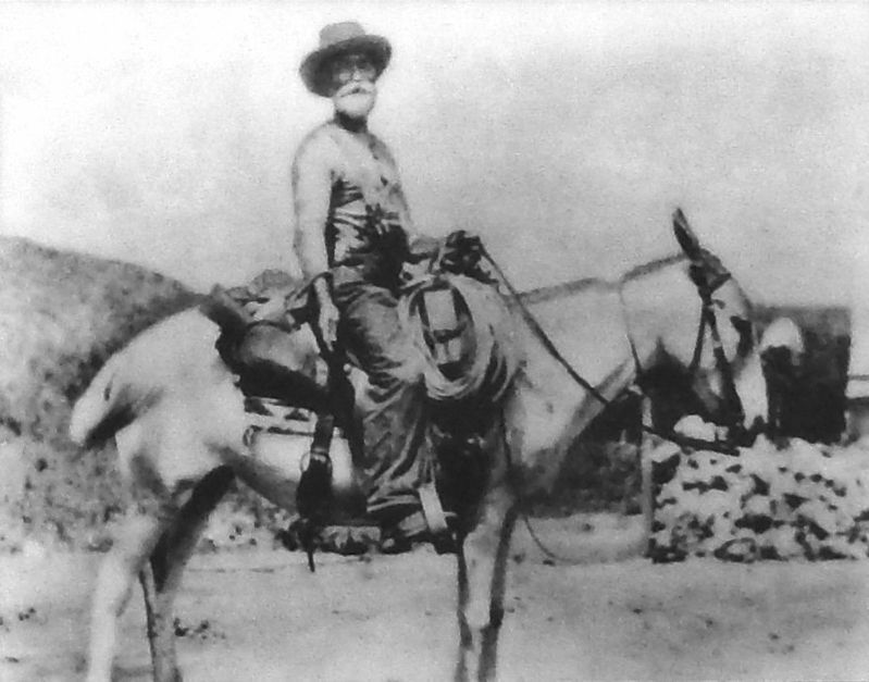 Marker detail: Louis Boucher on his mule, Silver Bel, ca. 1910 image. Click for full size.