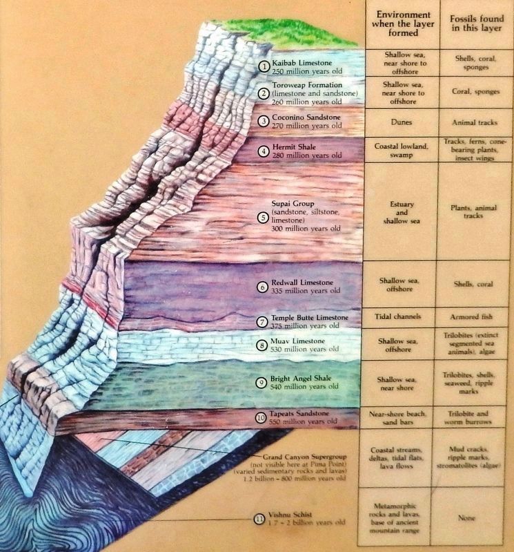 Marker detail: Geological Section Diagram image. Click for full size.