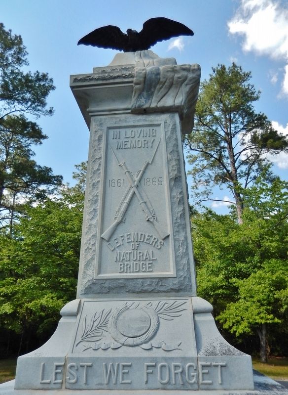 Confederate Monument (<i>south</i>) image. Click for full size.